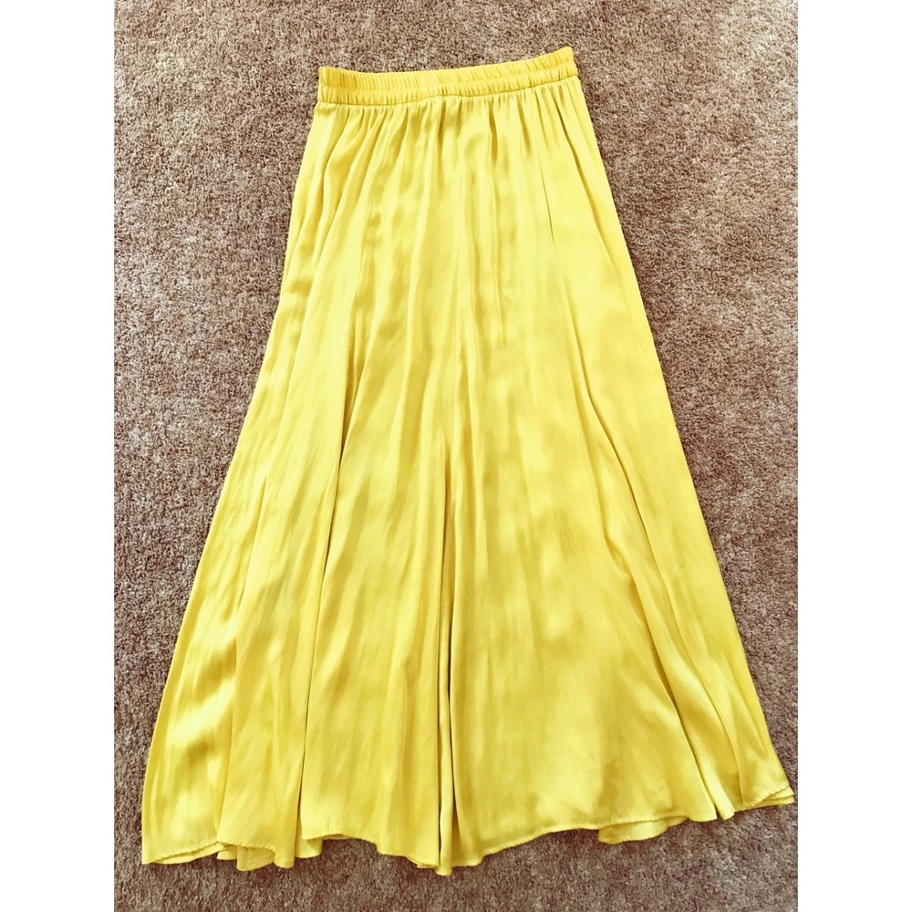 Zara Skirt